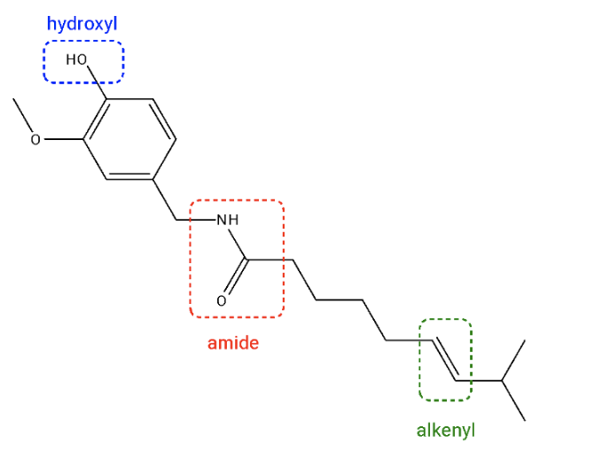 matrix education 2024 VCE Chemistry exam solutions question 28 - A complex organic molecule containing hydroxyl, amide, and alkenyl functional groups